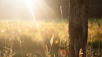 快速故障转移的云呼轰炸机