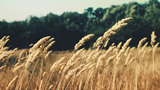 永久免费轰炸电话网页版