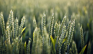 打爆别人电话的软件